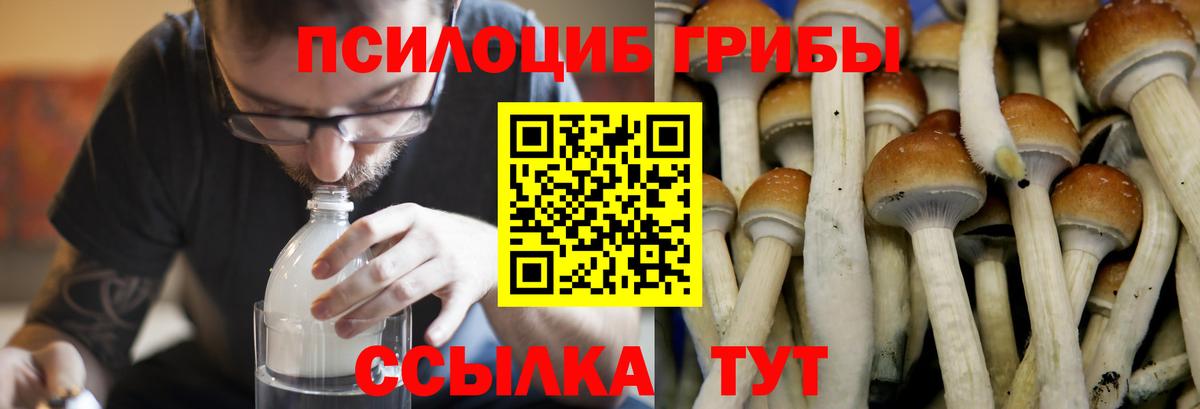 Галлюциногенные грибы GOLDEN TEACHER Алексеевка