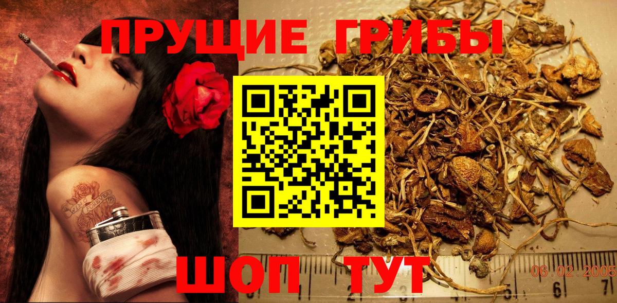 Галлюциногенные грибы ЛСД  Псилоцибиновые грибы прущие грибы  Вход с VPN  Алексеевка 