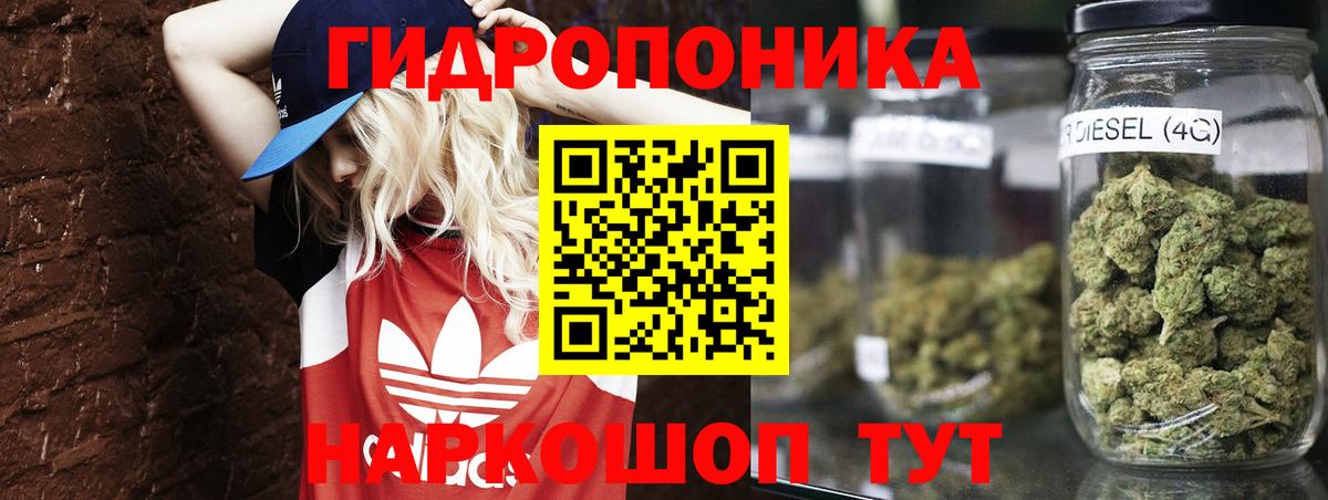 Канабис OG Kush Алексеевка